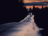 Wet Road and Silhouetted Trees at Sunset, Minnesota, United States
