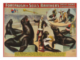 Buy Forepaugh and Sella Brothers, Poster, 1900 at AllPosters.com