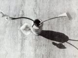 Vase with Three Lilies