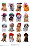 Puppies with Hats