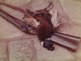 Pheasant and Rifle