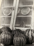 Watermelons
