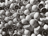 Agrarian Consortiums. Rome. 0Ranges
