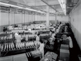 Buy Interior of a Textile Factory, Numerous Workers in White Smocks are Packing Large Reels of Thread at AllPosters.com
