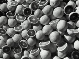 Full Oranges and Oranges Cut in Half