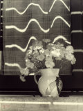 Vase of Carnations on a Window Sill