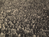 Crowd