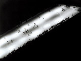 Buy View from Above of a Hockey Game on Ice at Night at AllPosters.com