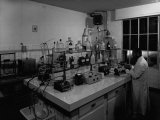 Buy Section of the Lombardi Factory in Ferrara at AllPosters.com