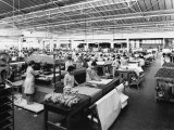 Workers Operating Machinery at the Serchio Hat Factory in Ponte a Moriano