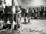 Workers Busy in a Brewery Photographic Print