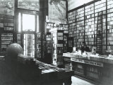 Interior of the Bemporad Bookstore, Trieste