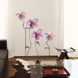 Japanese Anemones