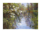 Buy Spring Reflections I at AllPosters.com