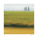 Buy Tuscan Field II at AllPosters.com