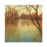 Buy Garden Twilight at AllPosters.com