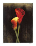 Buy Red Calla Lily at AllPosters.com