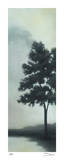 Buy Trees in the Mist III at AllPosters.com