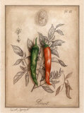Piment