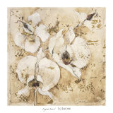 Buy Fragrant Snow I at AllPosters.com