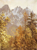 Aiguille