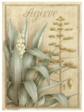 Buy Agave at AllPosters.com