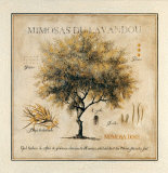 Buy Mimosas du Lavandou at AllPosters.com