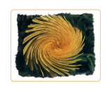 Buy Coup de Foudre III at AllPosters.com
