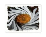 Buy Coup de Foudre IV at AllPosters.com