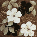 Shambala II