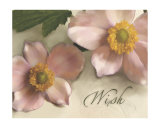 Wish