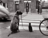 Buy Chiens, Angleterre at AllPosters.com