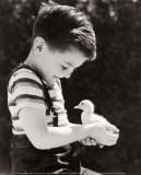Boy Holding a Duckling