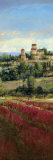 Tuscan Harvest I
