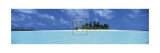 Island Tropics