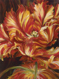 Buy Paso Doble Reds at AllPosters.com