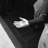 Bare Hand of Baseball Player Ted Williams