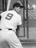 Ted Williams During Batting Practice