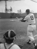 Ted Williams Batting at Fenway Park