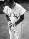 Ted Williams Putting on His Batting Gloves