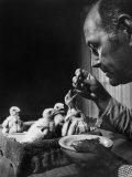 Falcon Chicks Born in Captivity Being Fed by Ornithologist Heinz Meng