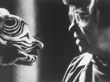 Buy Anthropologist Dr. Margaret Mead Studying a Decorated Tchambul Skull at AllPosters.com