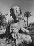 Sphinx Made of Alabaster Sitting on Site of Ancient City of Memphis