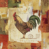 Colorful Roosters II