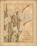 Buy Family and Friends at AllPosters.com