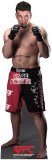 Buy Frank Mir - UFC at AllPosters.com