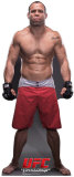 Wanderlei Silva - UFC