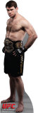 Buy UFC - Forrest Griffin at AllPosters.com