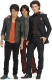 Jonas Brothers - Group