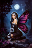 Night Fairy